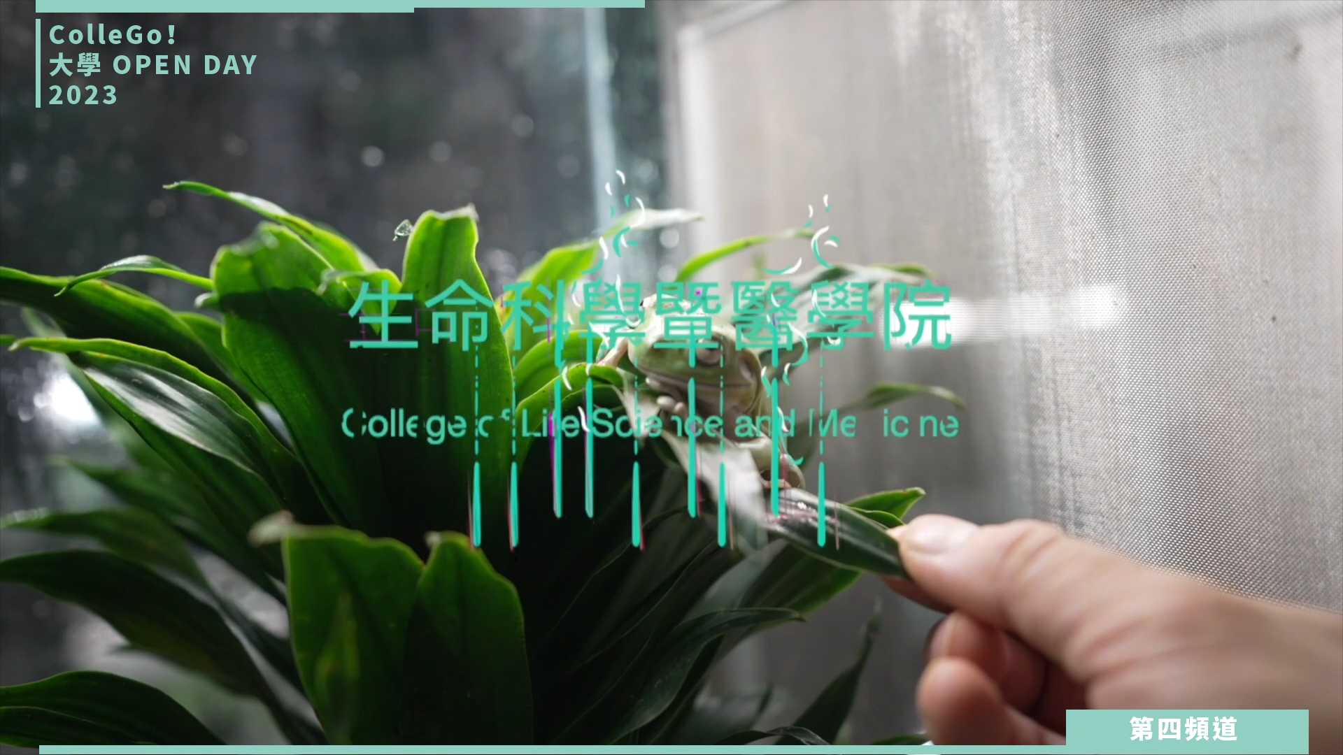  【ColleGo!大學OPEN DAY系列影音】生命科學學群｜國立清華大學生命科學暨醫學院