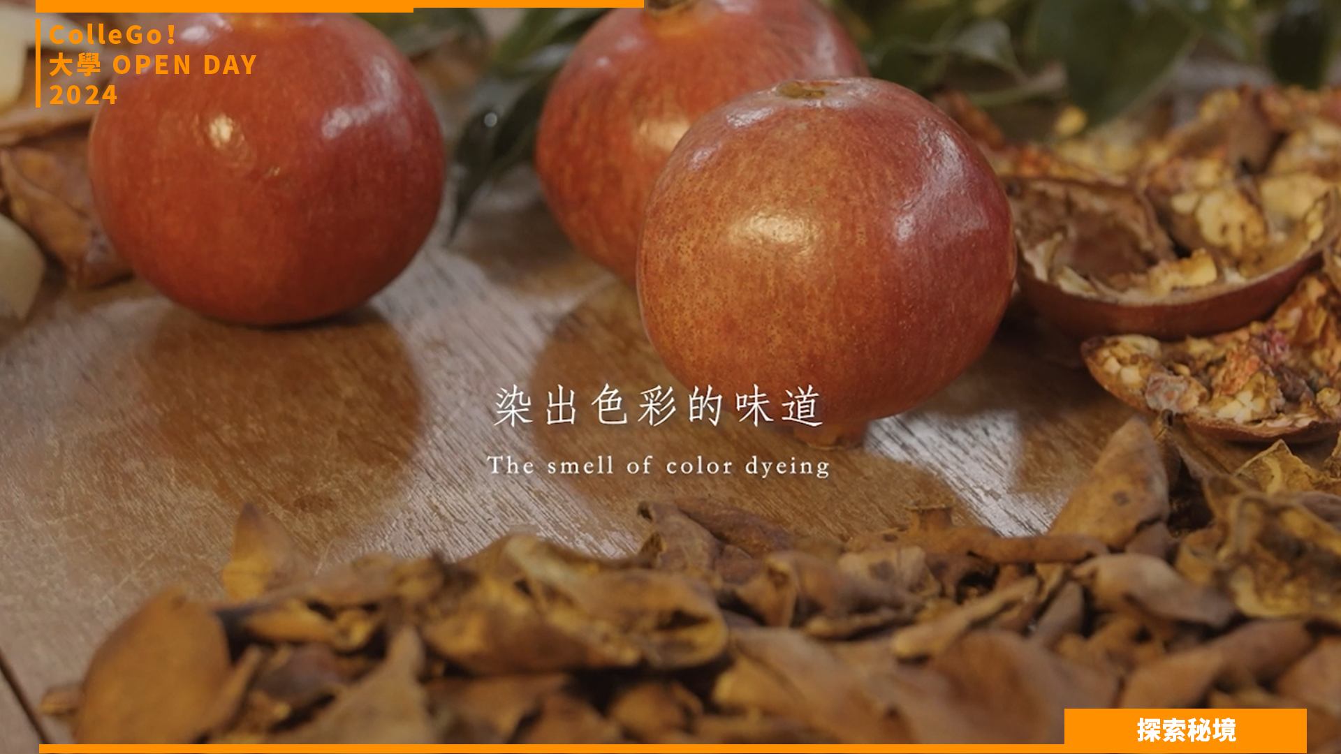 【2024大學OPEN DAY系列影音】探索秘境｜文史哲｜管理｜國立東華大學藝術創意產業學系