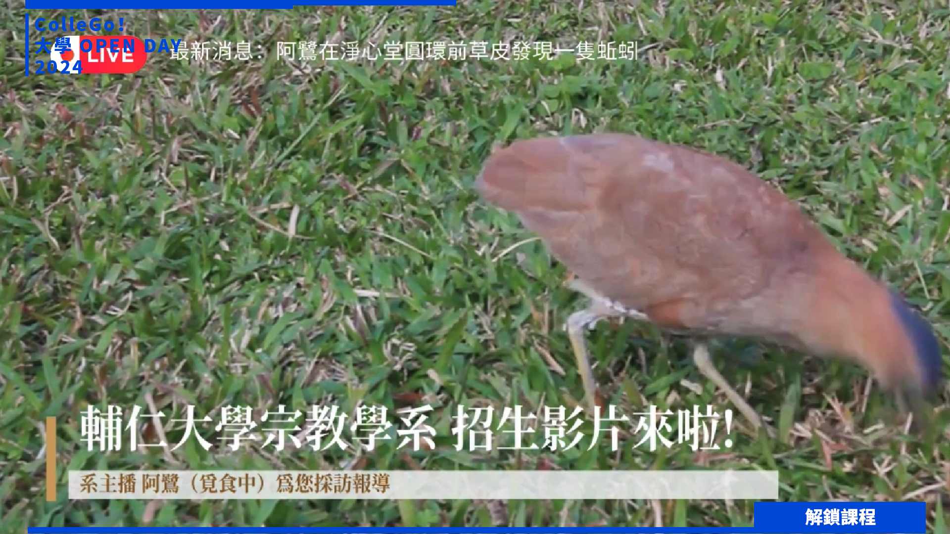 【2024大學OPEN DAY系列影音】解鎖課程｜社會心理｜文史哲｜輔仁大學宗教學系