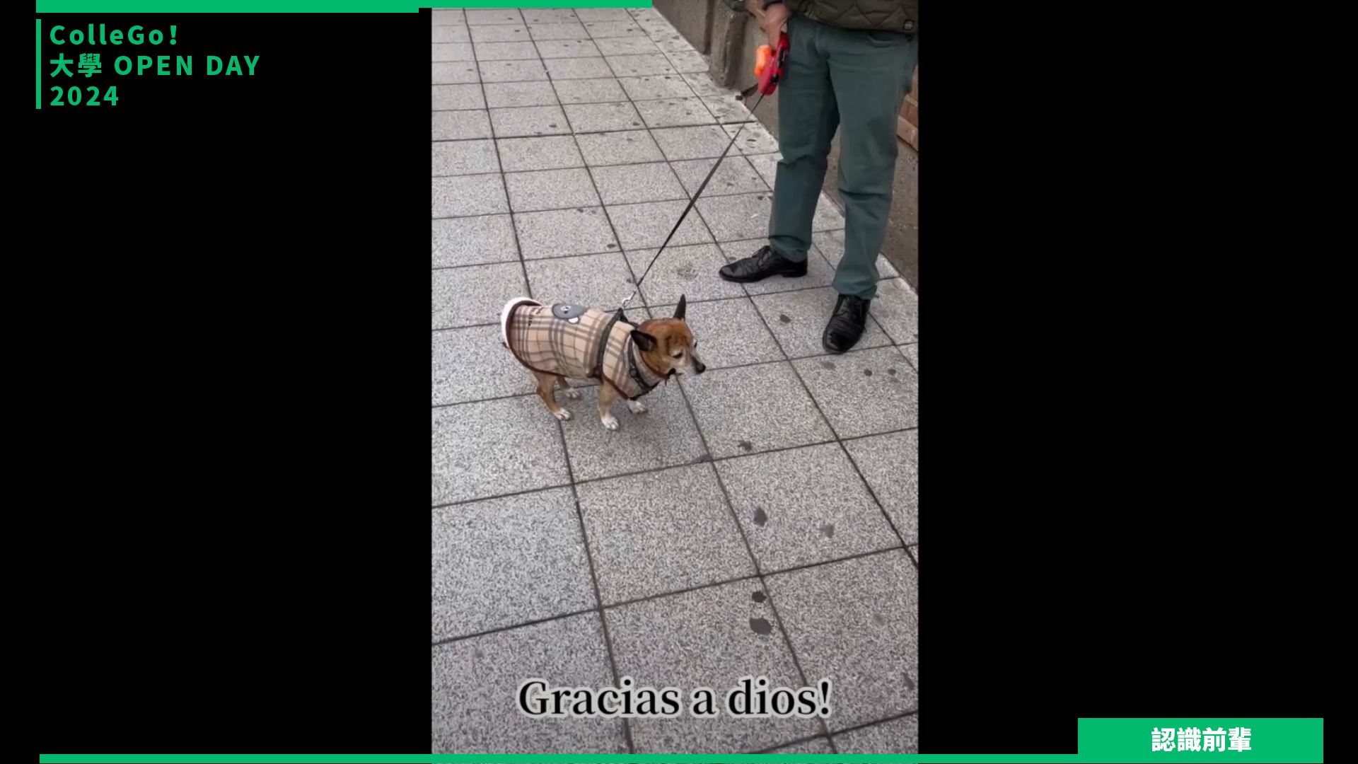 【2024大學OPEN DAY系列影音】認識前輩｜外語｜輔仁大學西班牙語文學系