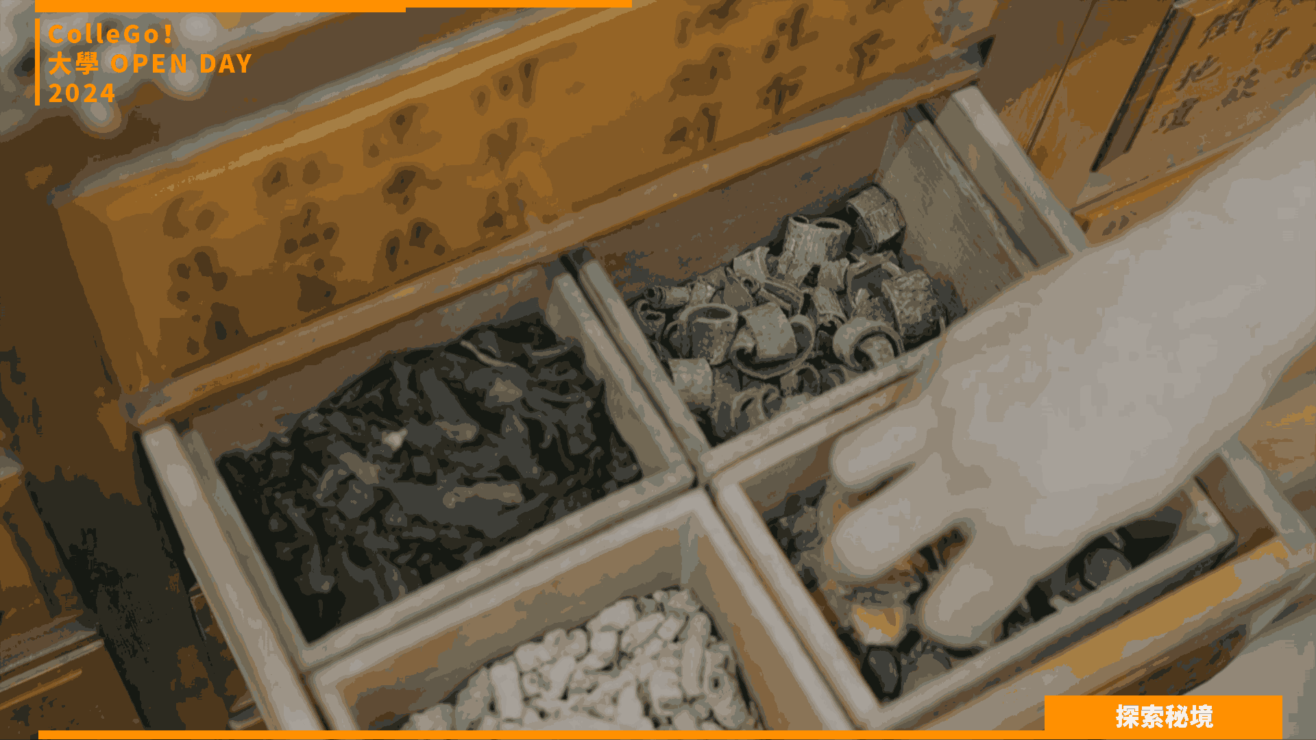 【2024大學OPEN DAY系列影音】探索秘境｜醫藥衛生｜中國醫藥大學中國藥學暨中藥資源學系