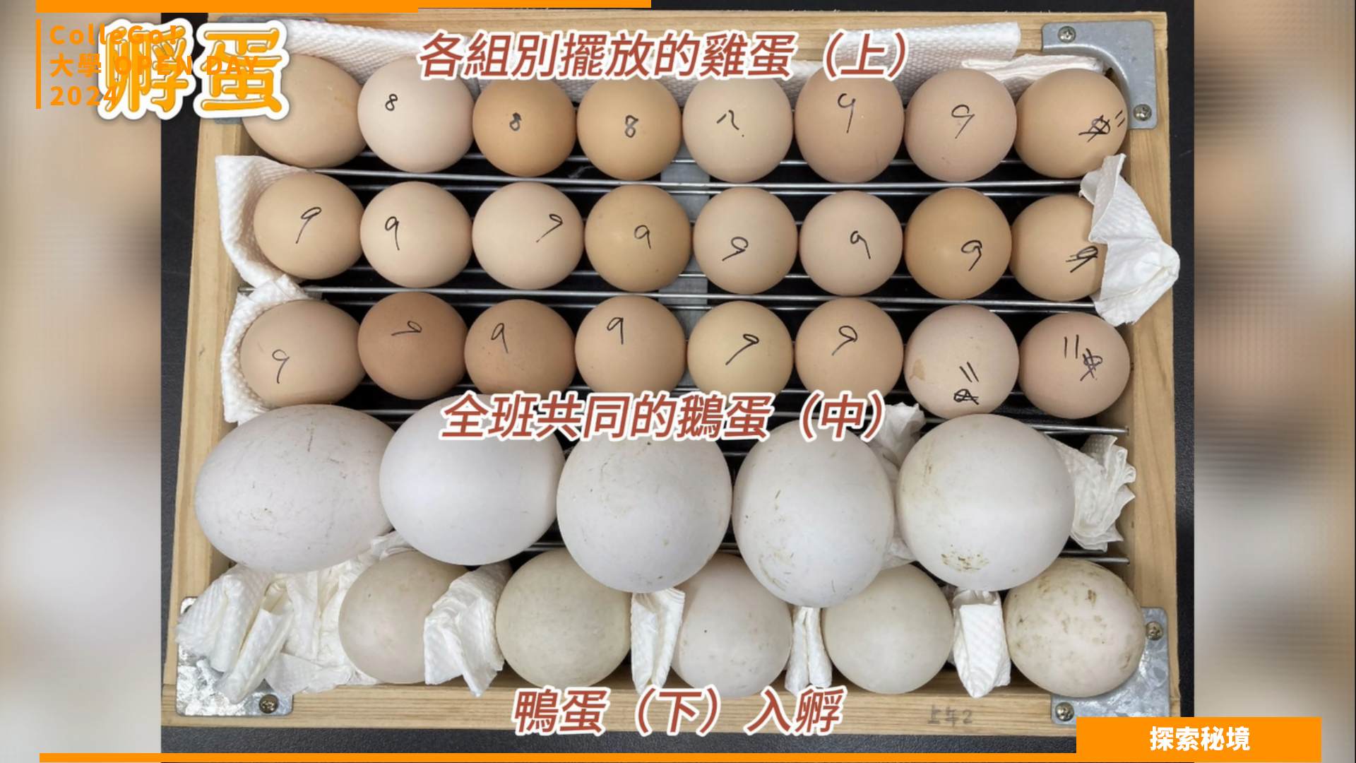【2024大學OPEN DAY系列影音】探索秘境｜生物資源｜中國文化大學動物科學系