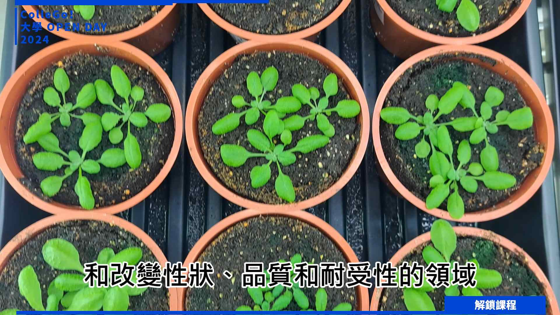 【2024大學OPEN DAY系列影音】解鎖課程｜生物資源｜中國文化大學園藝暨生物技術學系