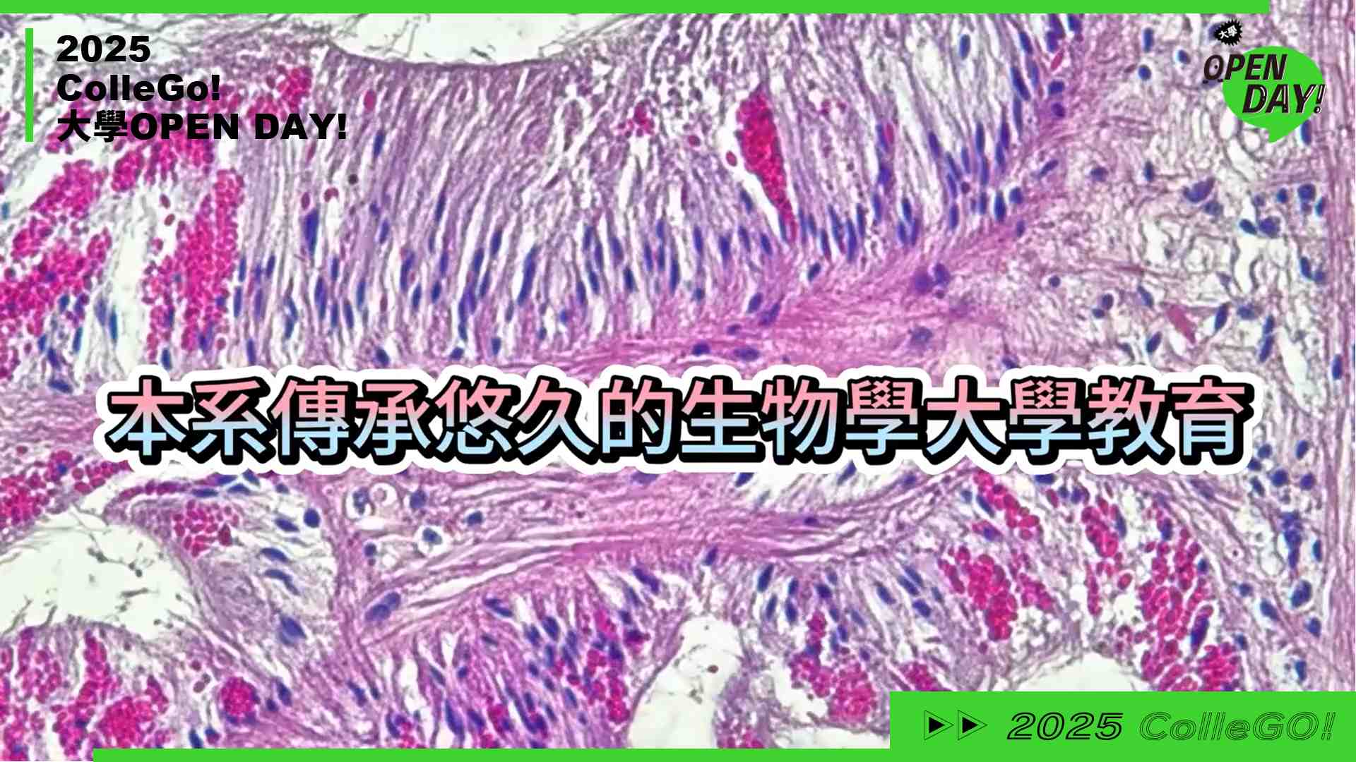 【2025 大學 OPEN DAY 系列影音】生命科學｜中國文化大學生命科學系