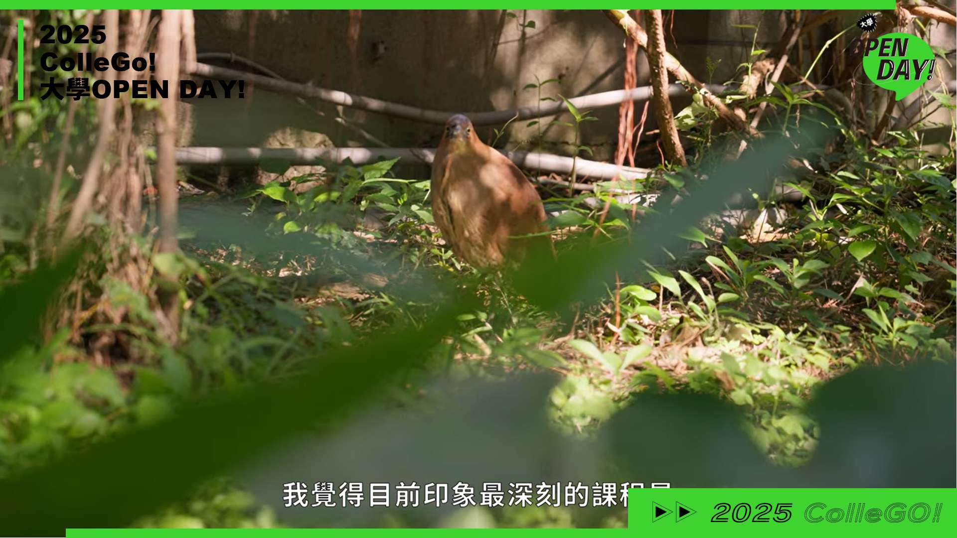 【2025 大學 OPEN DAY 系列影音】生命科學｜生物資源｜國立中興大學昆蟲學系